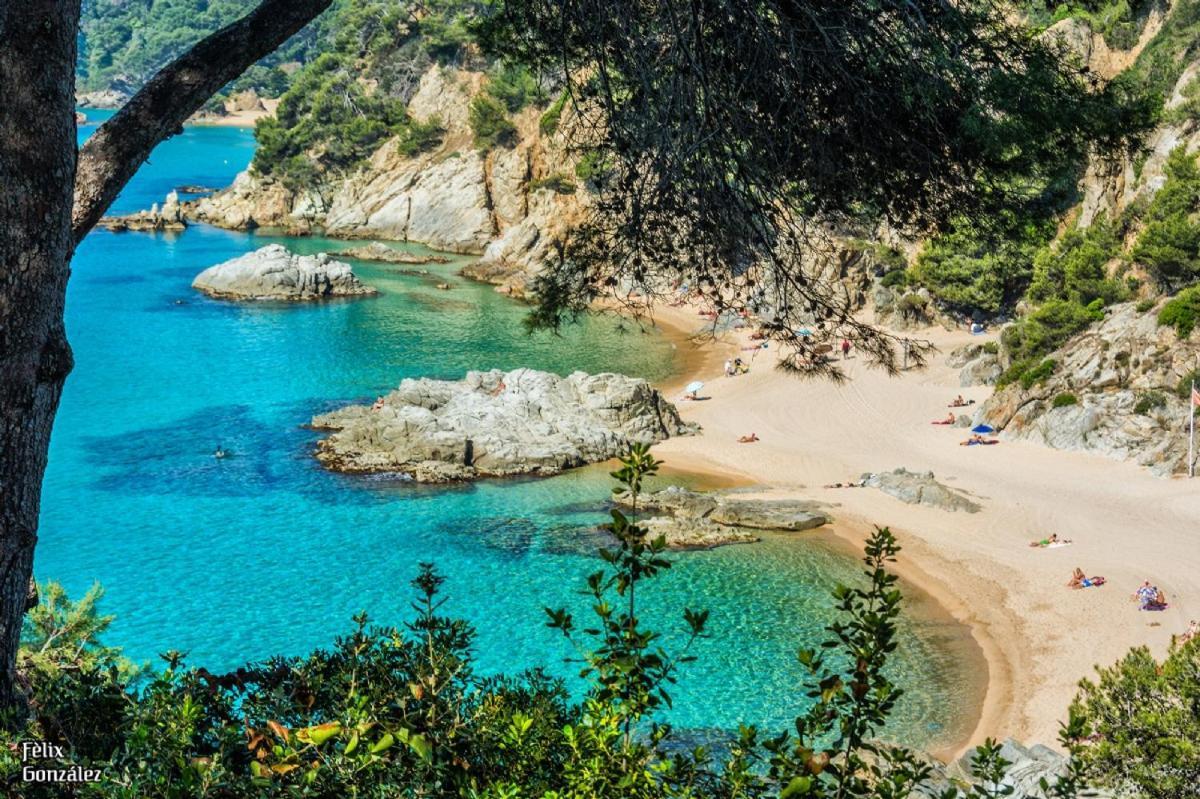 Al11 Apartamento Albert Lloret de Mar Buitenkant foto